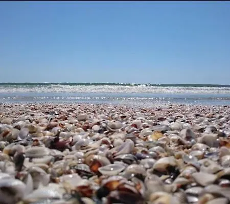 Sunny Beach